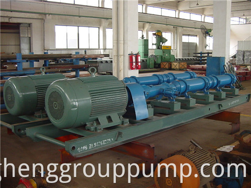 Single screw pump crude oil transfer pump.